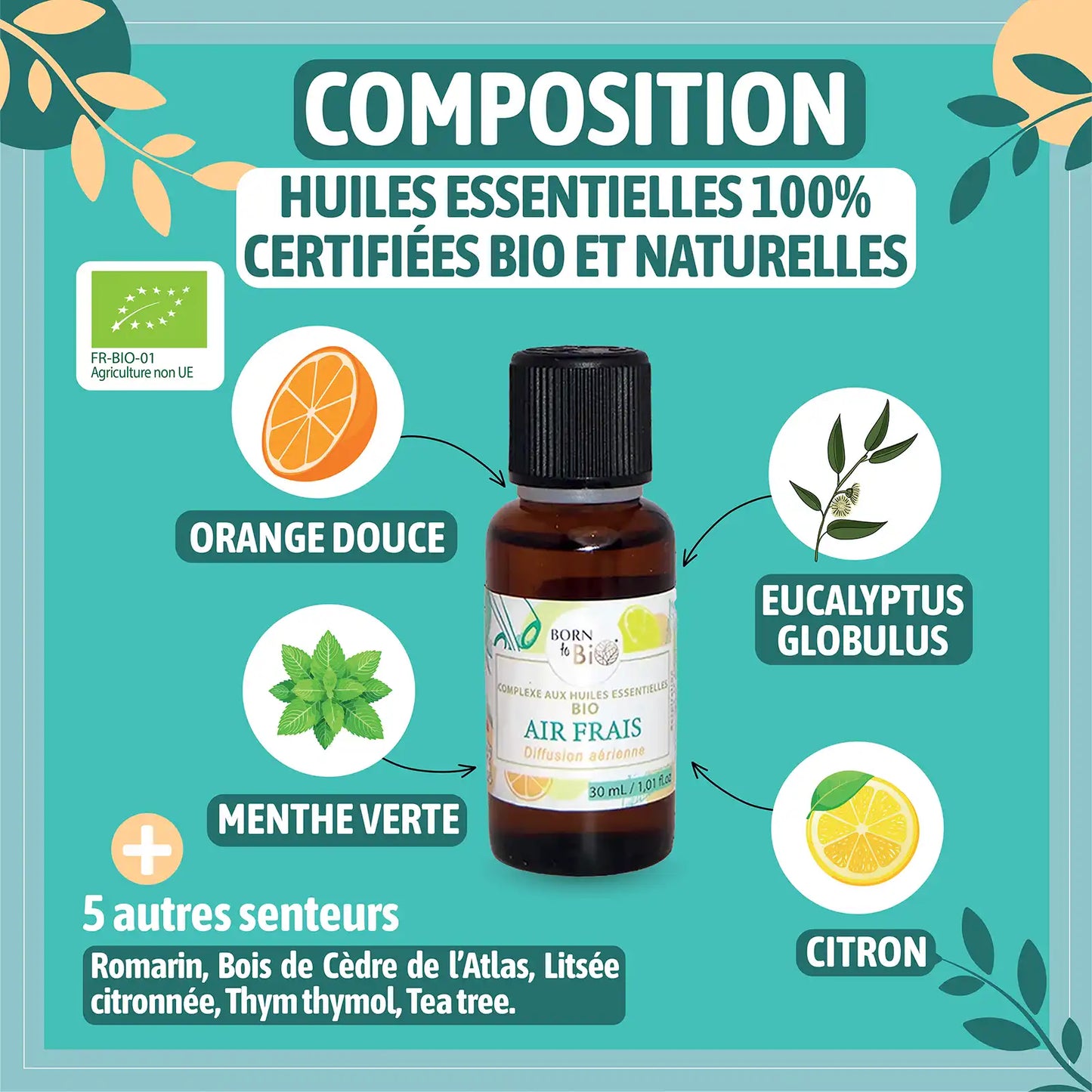 Air Frais - Complexe aux huiles essentielles Certifiées Bio-1
