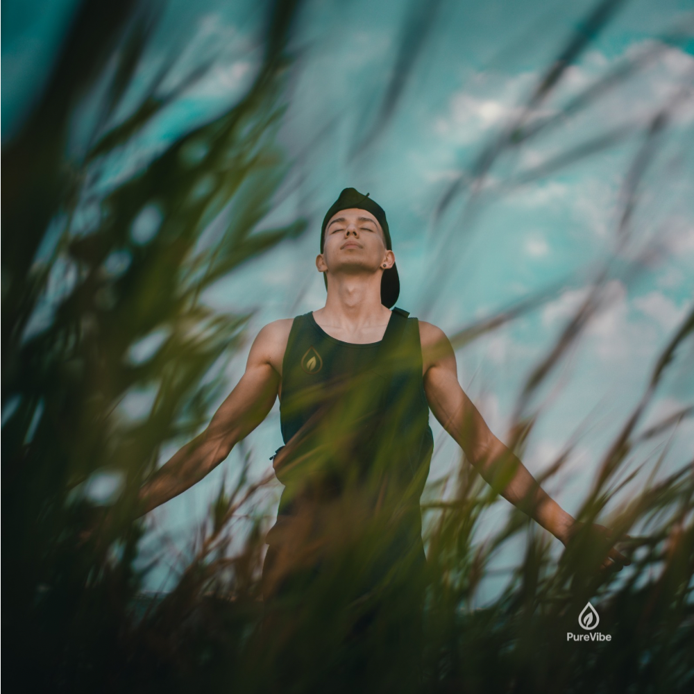 Énergie, Vitalité & Clarté Mentale