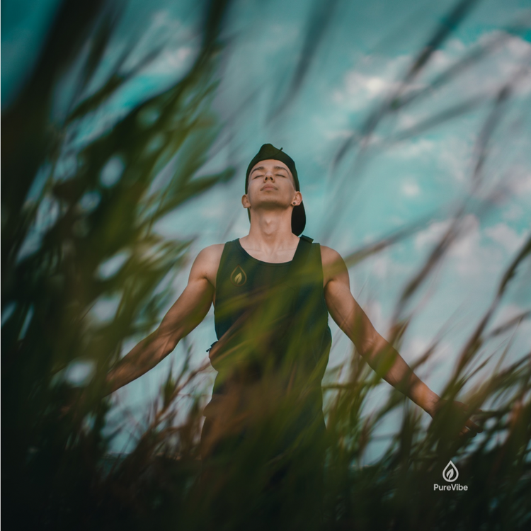 Énergie, Vitalité & Clarté Mentale