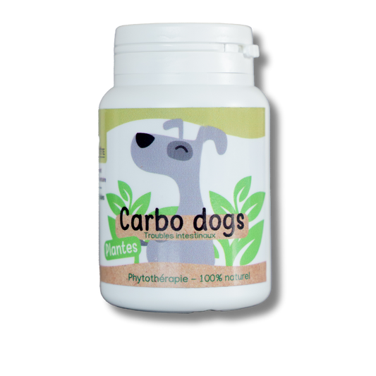 Digestion Carbo Dogs natural - 60 capsules - Dog